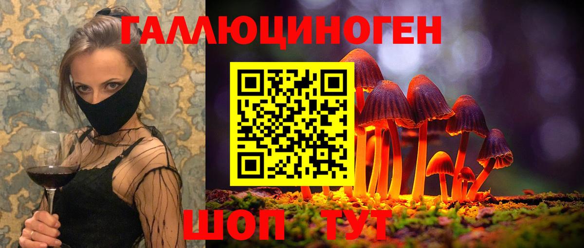Галлюциногенные грибы Psilocybe  Вход с VPN  Воткинск 